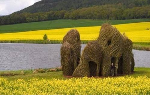 İnsan yapımı dev kuş yuvaları - Resim: 1