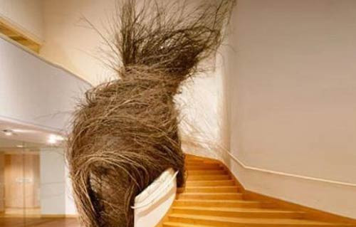 İnsan yapımı dev kuş yuvaları - Resim: 3