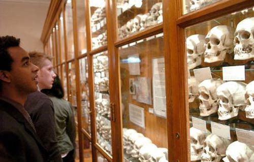 Yürek hoplatan en kokrunç yerler! - Resim: 2