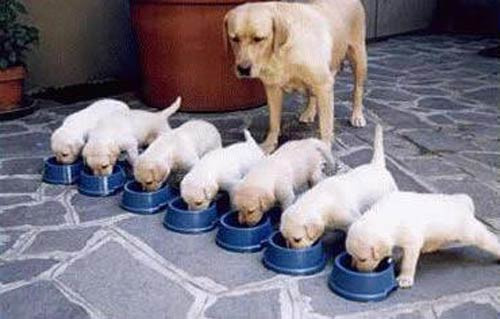 Bu disiplin anlaşına şaşıracaksınız! - Resim: 1