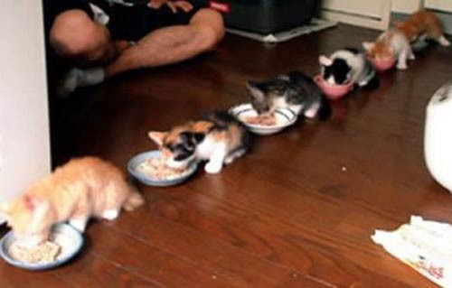 Bu disiplin anlaşına şaşıracaksınız! - Resim: 2