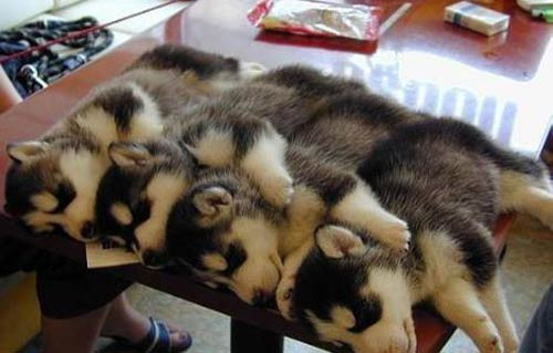 Bu disiplin anlaşına şaşıracaksınız! - Resim: 4