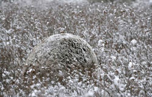 Onları görebilecek misiniz? - Resim: 4