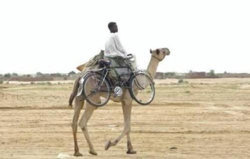 Bu kadarı da olmaz - Resim: 1