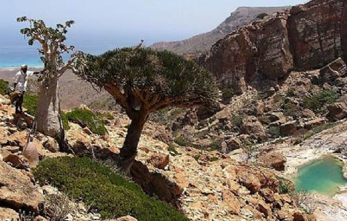 İnanmak için görmek lazım - Resim: 3