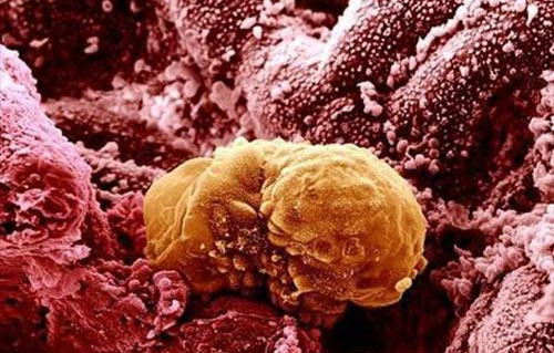 Vücudunuza bir de böyle bakın - Resim: 2