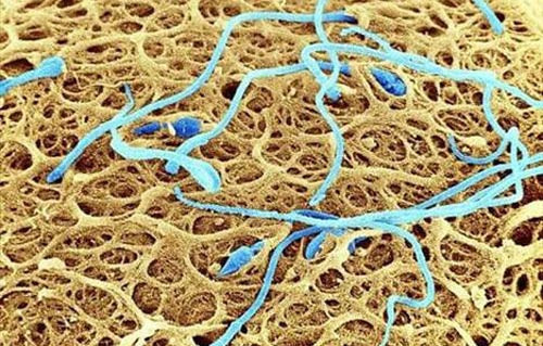 Vücudunuza bir de böyle bakın - Resim: 3