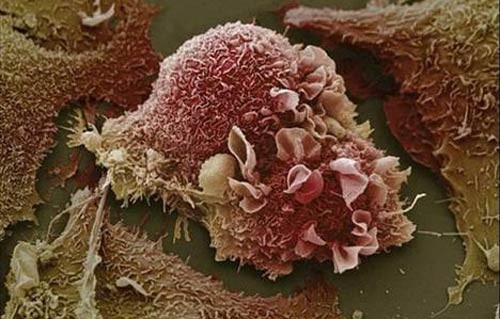 Vücudunuza bir de böyle bakın - Resim: 4