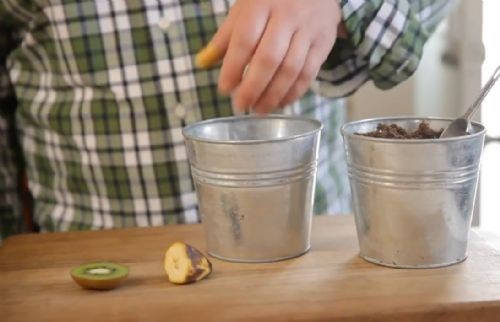 Muz ve kiviyi saksıya ekti bakın çıkan ne oldu? - Resim: 2