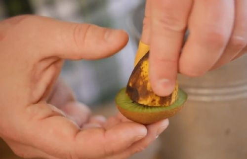 Muz ve kiviyi saksıya ekti bakın çıkan ne oldu? - Resim: 3