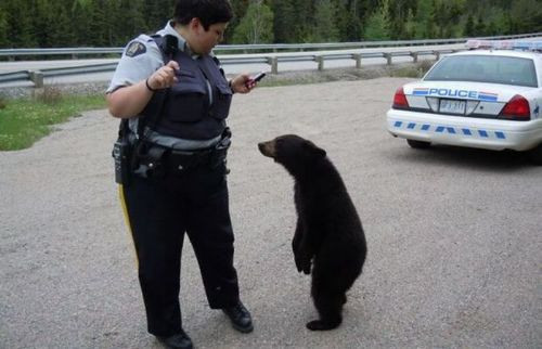Günün tıklanma rekoru kıran kareleri - Resim: 4