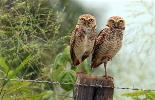 İlginç fotoğraflar - Resim: 2