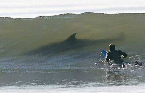 Günün en ilginç kareleri - Resim: 1