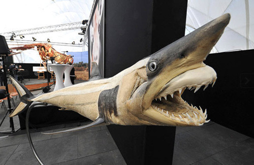 Dünyanın en ürküten sergisi - Resim: 1