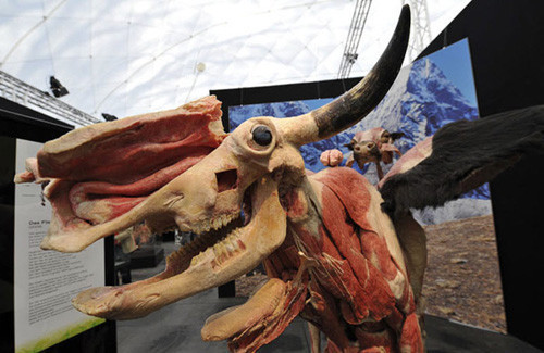 Dünyanın en ürküten sergisi - Resim: 2