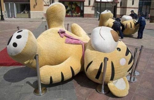 En çok beğenilen fotoğraflar! - Resim: 4