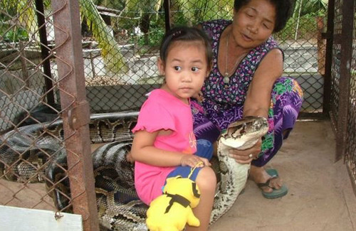 Kümeste dev biton besliyorlar - Resim: 3