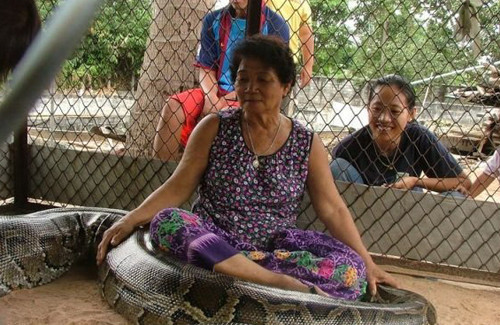 Kümeste dev biton besliyorlar - Resim: 4