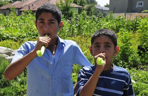 Vuvuzela yerine Kabakzella - Resim: 1