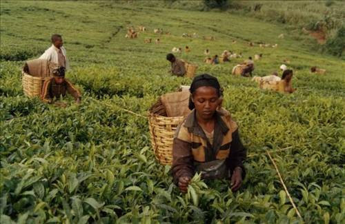 Yaşamın en zor olduğu 10 ülke - Resim: 2