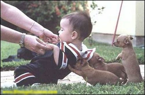 Bu çocuklara çok güleceksiniz! - Resim: 2