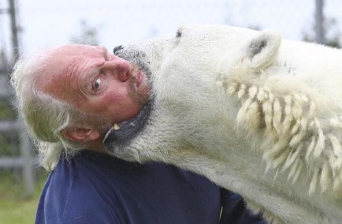 Kim demiş ayıdan dost olmaz - Resim: 3