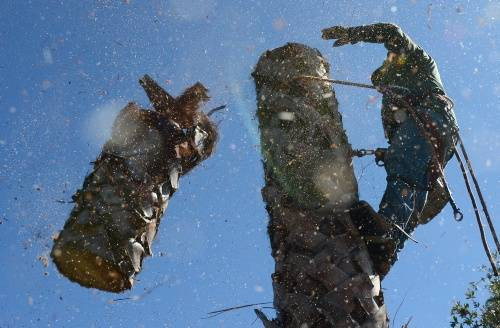 Bir kralın çaresiz anları! - Resim: 3