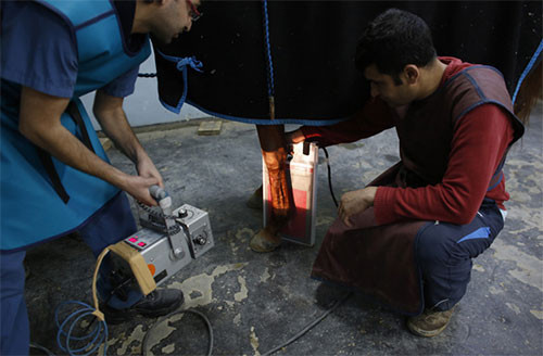 Yarış atları Veliefendi At Hastanesi'nde tedavi oluyor - Resim: 3