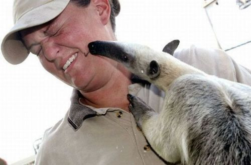 Günün beğenilen 100 karesi - Resim: 2