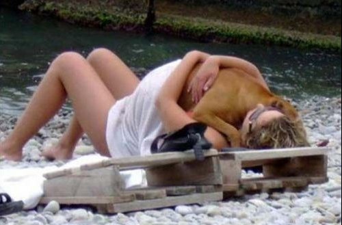 Bu fotoğraflara çok güleceksiniz - Resim: 2