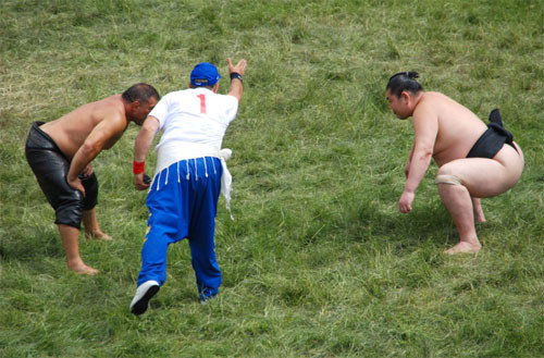 Kırkpınar Sumo ya karşı - Resim: 2