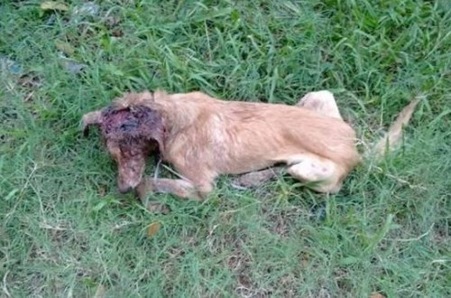 Onlar gerçek kahramanlar değişime bakın! - Resim: 3