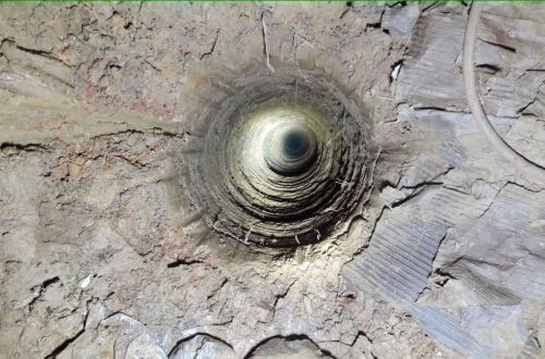 "Kuyu" köpek 1 yaşında - Resim: 1