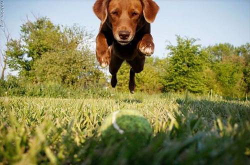 Tam zamanında çekilen fotoğraf! - Resim: 2