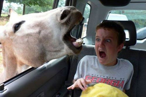 En çok güldüren fotoğraflar - Resim: 3