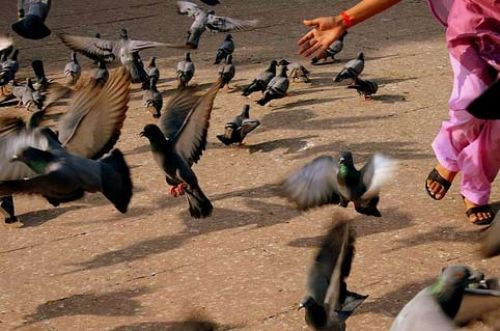 Günün en güzel kareleri - Resim: 2