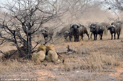 Akıl karıştıran fotoğraflar - Resim: 4