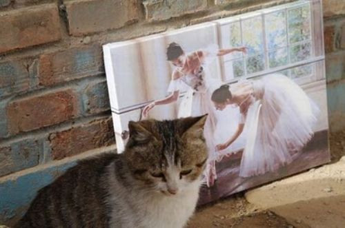 Şok ettiler  - Resim: 2