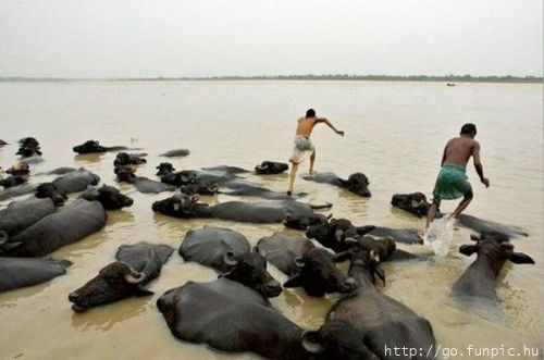 İnternetin yok artık dedirten kareleri! - Resim: 1