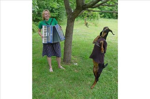 Devlet erkanı tam toplantıya başlamıştı herkes donup kaldı - Resim: 2