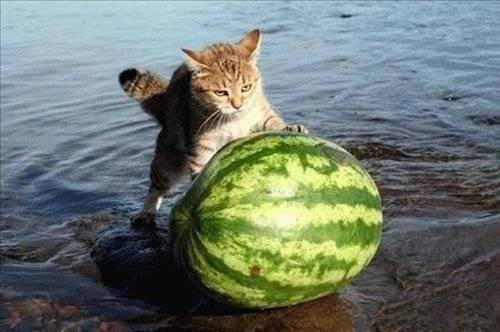 Devlet erkanı tam toplantıya başlamıştı herkes donup kaldı - Resim: 3