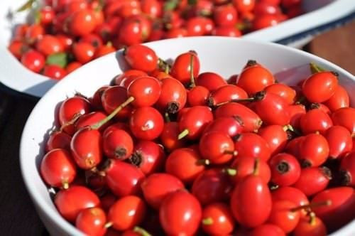 Kuşburnu her derde dava! Ama öyle bir faydası var ki... - Resim: 4