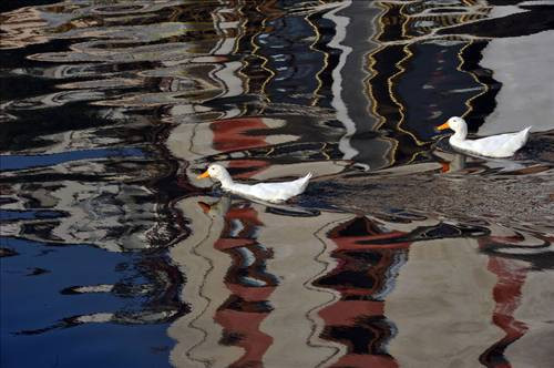 Suya düşen yansımalar büyülüyor - Resim: 1