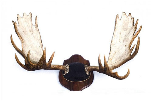 Uçaktan ikinci el pazarına eşyalar! - Resim: 4