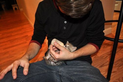 Gülmek için yakalanmış en komik anlar! - Resim: 3