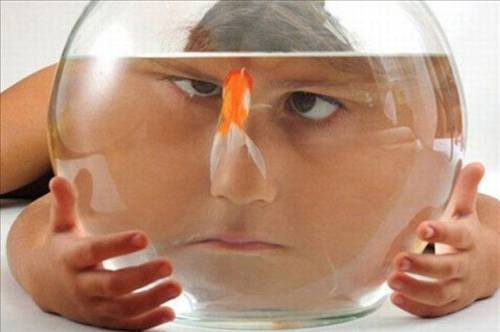 Bu fotoğraflar insanı gülmekten çatlatır! - Resim: 1