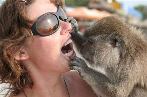 Bu fotoğraflar insanı gülmekten çatlatır! - Resim: 3
