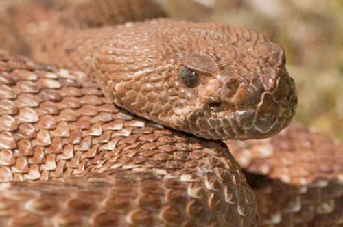 Bu bilgilere çok şaşıracaksınız! - Resim: 2