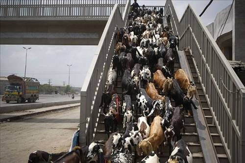 Kıyamet koparan en çılgın kareler! - Resim: 2