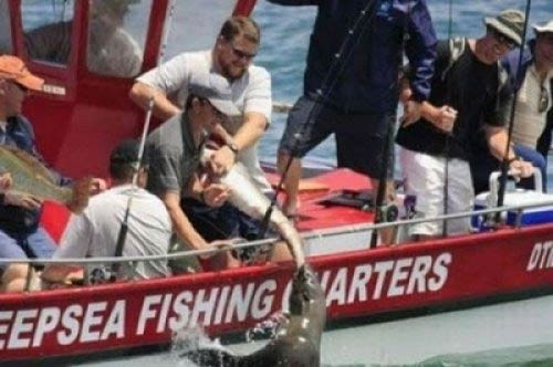 Tam zamanında çekilmiş fotoğraflar - Resim: 2